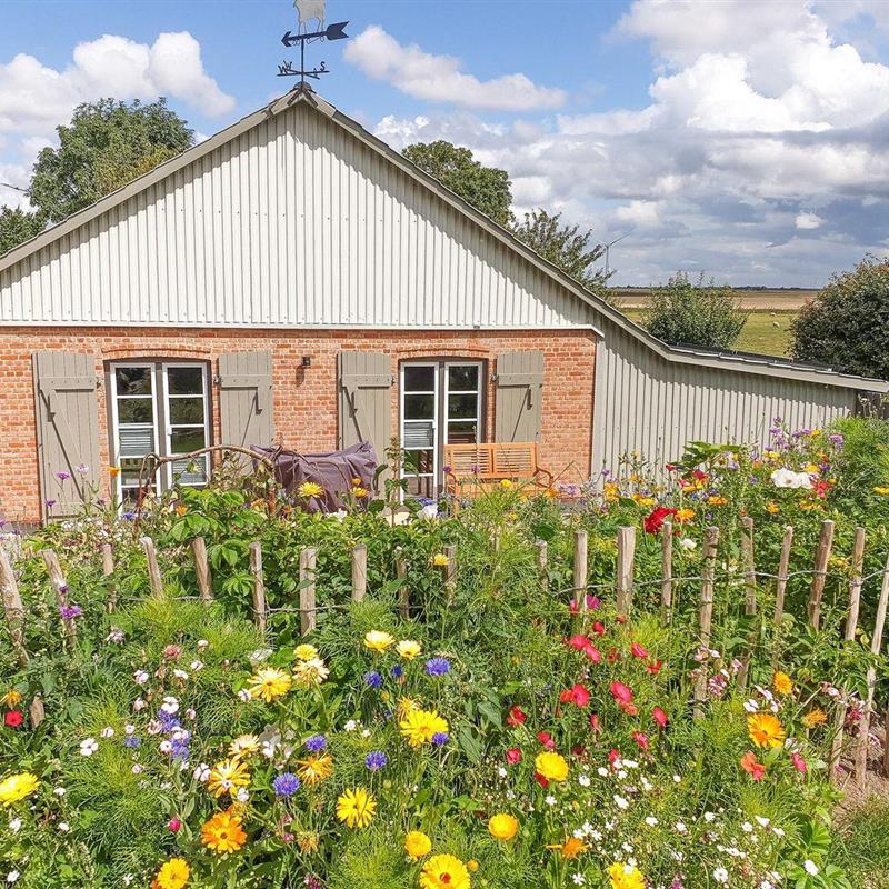 Sommerhus - 4 personer -  - Osterdeich - 25899 - Dagebüll