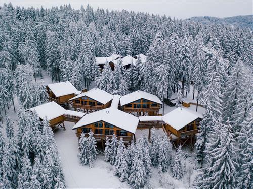 Ferienwohnung - 4 Personen -  - Knechtelsdorf - 4794 - Kopfing Im Innkreis