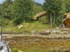 Billede 26 - Ude