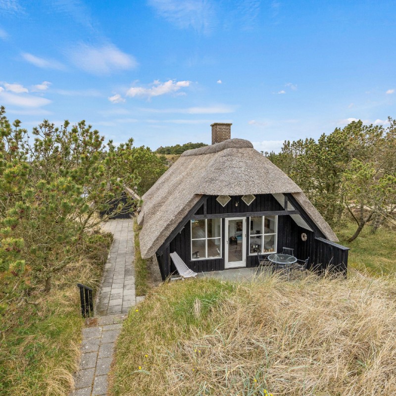 Sommerhus - 3 personer -  - Ranunkelvej - 6854 - Henne Strand