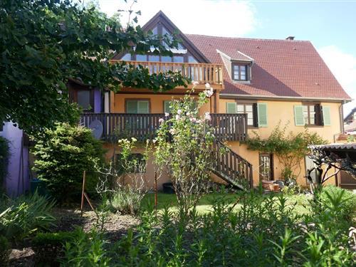 Holiday Home/Apartment - 5 persons -  - 16 rue du Four - 68770 - Ammerschwihr