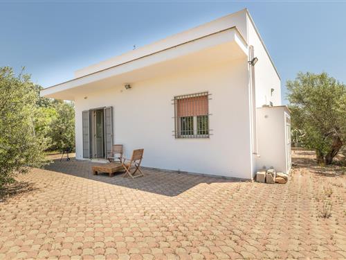 Feriehus - 6 personer -  - 73057 - Taviano