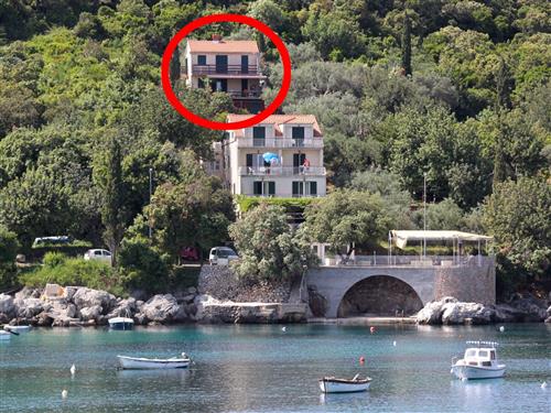 Ferielejlighed - 4 personer -  - Molunat 64, Molunat - 20215 - Gruda