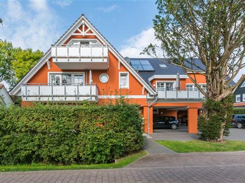 Holiday Home/Apartment - 3 persons -  - Alte Reihe - 18374 - Seeheilbad Zingst