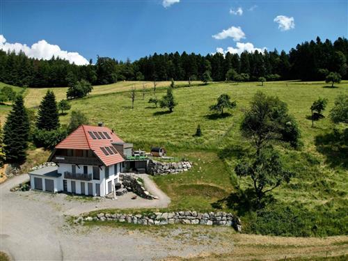 Fritidshus - 10 personer -  - Hausach - 77756