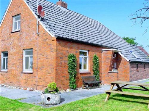 Feriehus - 4 personer -  - Mimsteder Straße - 26427 - Holtgast