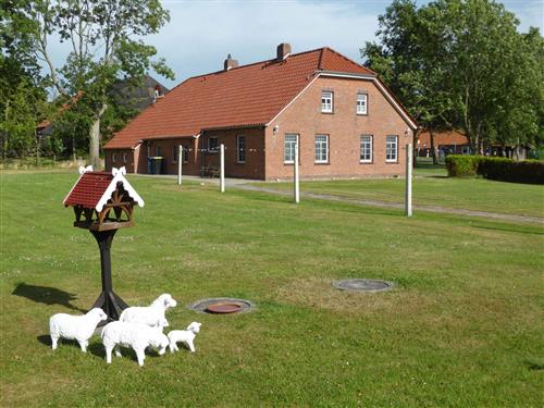 Ferieleilighet - 2 personer -  - Damsum - 26427 - Holtgast Damsum