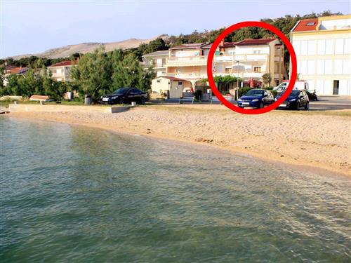 Holiday apartment - 4 persons -  - Ante Starcevica - 23250 - Pag