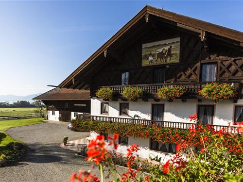 Ferienhaus - 3 Personen -  - Burgham - 83358 - Seebruck