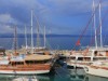 Billede 22