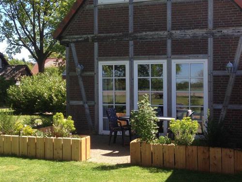 Fritidshus - 8 personer -  - Soltau - 29614