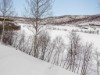 Bilde 24 - Inne