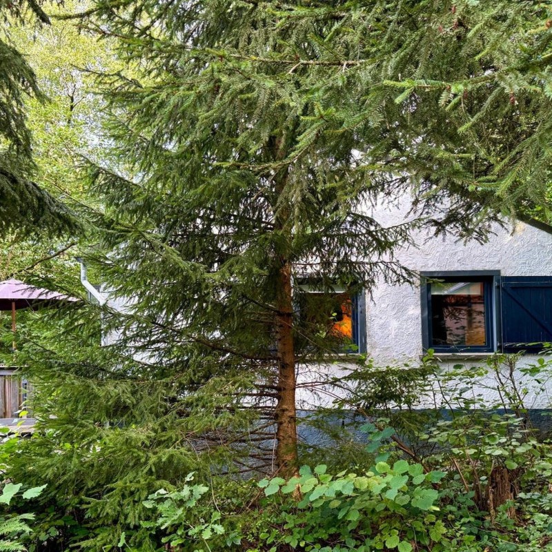 Sommerhus - 4 personer -  - 6987 - Rendeux (Beffe)