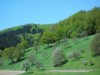 Bilde 3