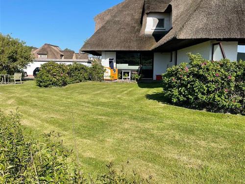 Feriehus / leilighet - 4 personer -  - Gräftendiek - 25836 - St. Peter-Ording