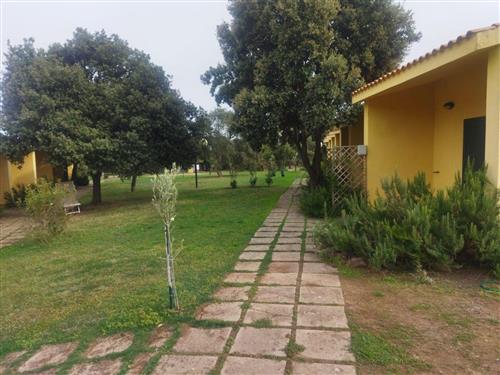 Ferielejlighed - 2 personer -  - Baratili San Pietro - 09070