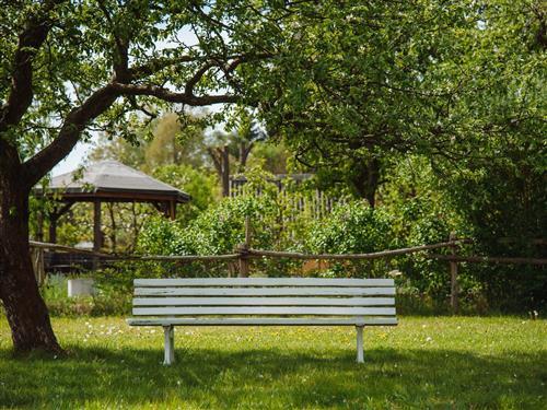 Ferielejlighed - 5 personer -  - Kaiser Friedrich Str. - 14469 - Potsdam