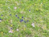 Image 22 - Outside