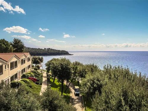 Holiday apartment - 4 persons -  - 52450 - Vrsar