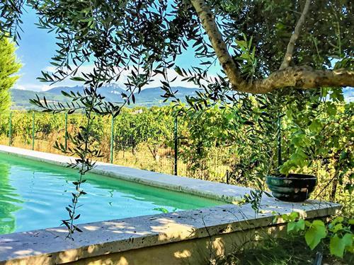 Sommerhus - 6 personer -  - Chemin de la Tuilerie - 84150 - Violès