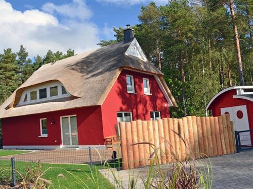 Sommerhus - 8 personer -  - 18551 - Glowe
