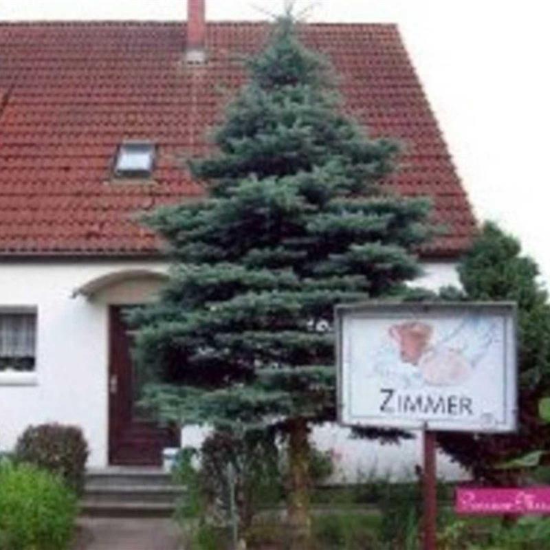 Ferielejlighed - 4 personer -  - Beethovenstraße - 17252 - Mirow