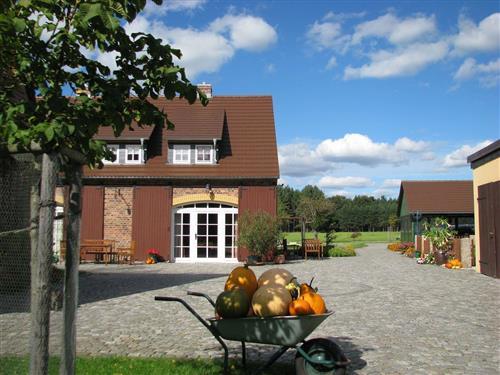 Holiday Home/Apartment - 6 persons -  - Im Erlengrund - 02943 - Boxberg/O.L. - Tauer