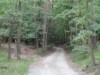 Billede 25
