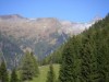 Bild 74