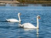 Bild 31 - Aussen