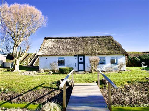 Holiday home - 5 persons -  - Langer Deich - 25845 - Nordstrand