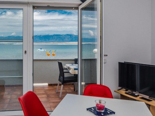 Holiday apartment - 5 persons -  - Ulica Marina VIII - 23234 - Vir