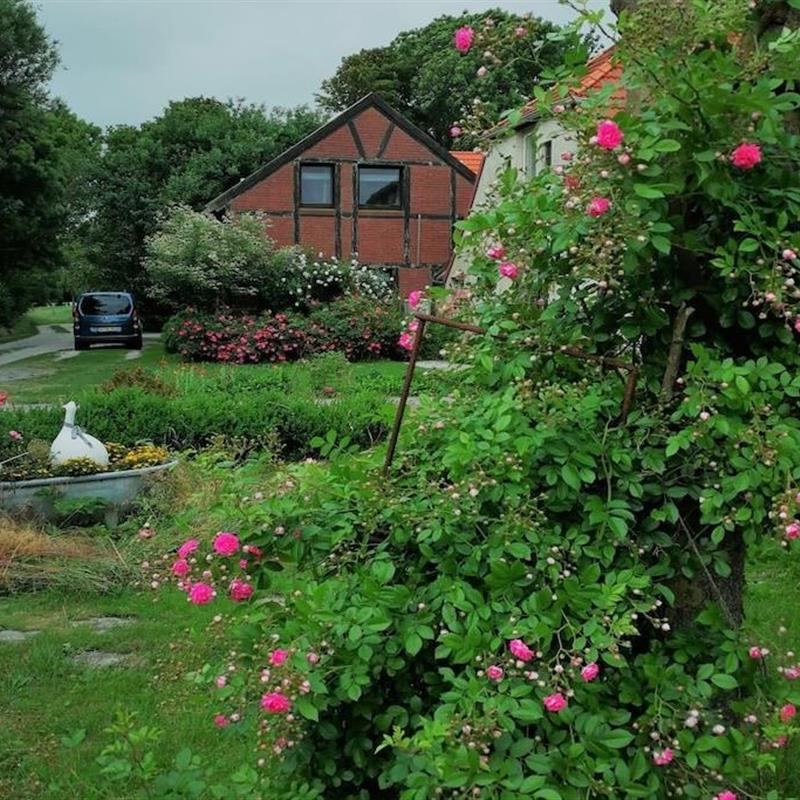 Sommerhus - 5 personer -  - 26969 - Butjadingen