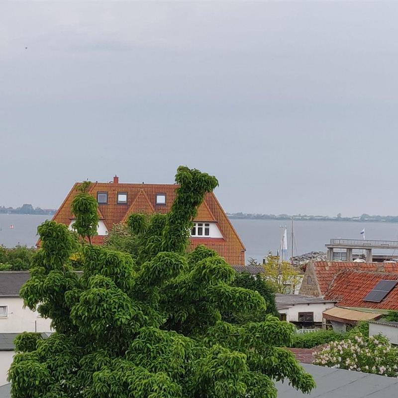 Ferielejlighed - 4 personer -  - Hauptstraße - 18556 - Wiek