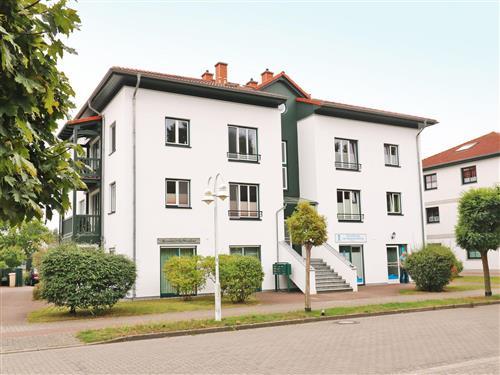 Ferielejlighed - 6 personer -  - Am Maiglöckchenberg 17 Whng. - 17449 - Karlshagen