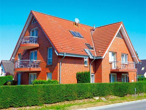 Holiday Home/Apartment - 6 persons -  - Bahnhofstr. - 18374 - Zingst