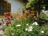 Bild 17