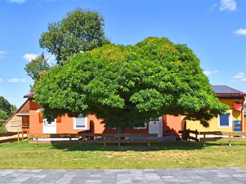 Ferielejlighed - 2 personer -  - 17252 - Mirow