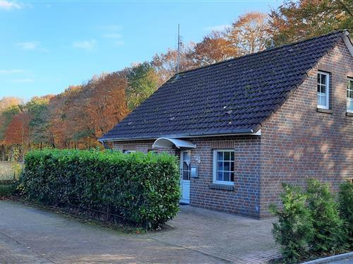 Holiday Home/Apartment - 3 persons -  - An der Rehwiese - 49751 - Sögel