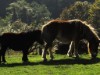Bild 11 - Aussen