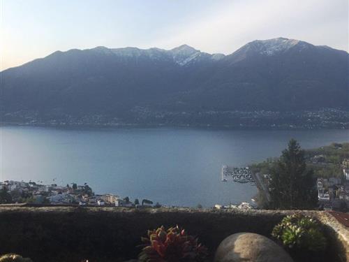 Holiday apartment - 4 persons -  - Via Patocchi - 6644 - Orselina