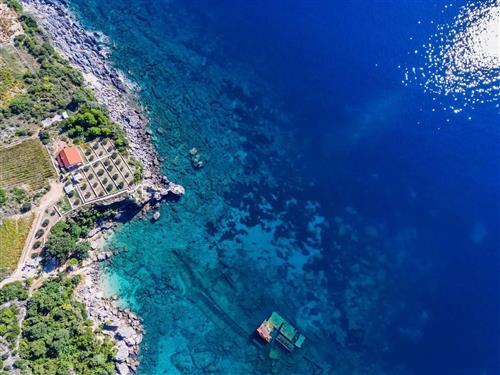 Holiday home - 7 persons -  - Postup - 20250 - Orebic