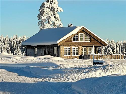 Holiday Home/Apartment - 8 persons -  - Bruråsbekklia - Åmot - 2460 - Osen