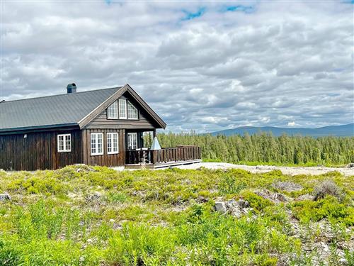 Feriehus / leilighet - 8 personer -  - Bruråsbekklia - Åmot - 2460 - Osen