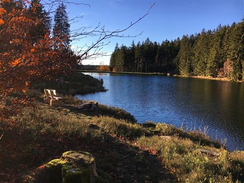 Sommerhus - 3 personer -  - Am Hahnenkleer Berg - 38644 - Goslar / Hahnenklee