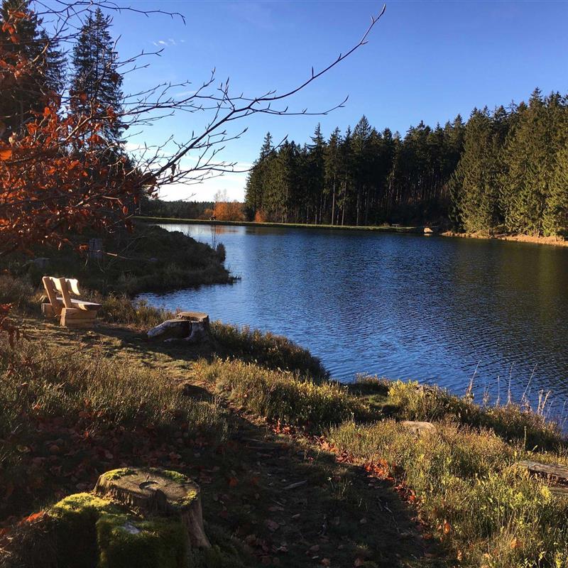 Ferielejlighed - 3 personer -  - Am Hahnenkleer Berg - 38644 - Goslar / Hahnenklee