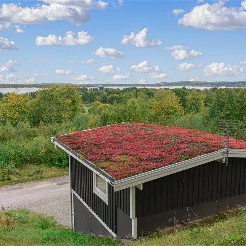 Sommerhus - 4 personer -  - Spiltvägen - Hässleholm/Tyringe - 282 95 - Tyringe