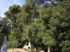 Bild 28