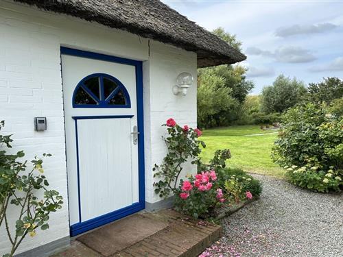 Ferienhaus - 8 Personen -  - 25836 - Osterhever
