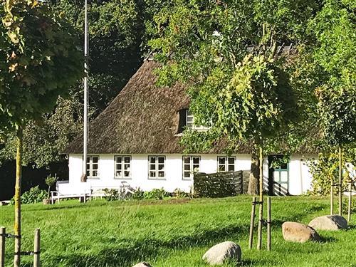 Ferienhaus - 6 Personen -  - Sønder Kettingskov - Nörre Kettingskov - 6440 - Augustenborg